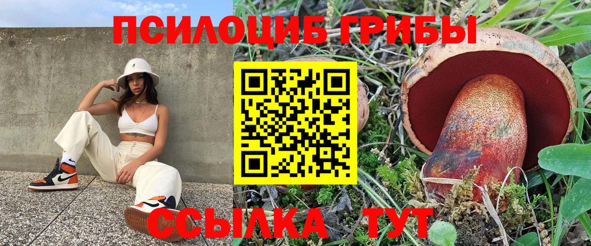 Псилоцибиновые грибы мухоморы Боровичи
