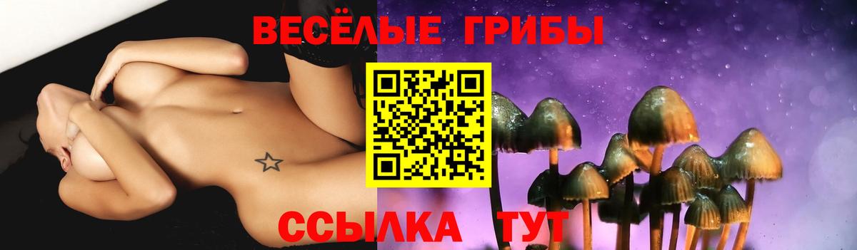 Боровичи  Псилоцибиновые грибы мицелий  Вход с VPN  Псилоцибиновые грибы Cubensis 